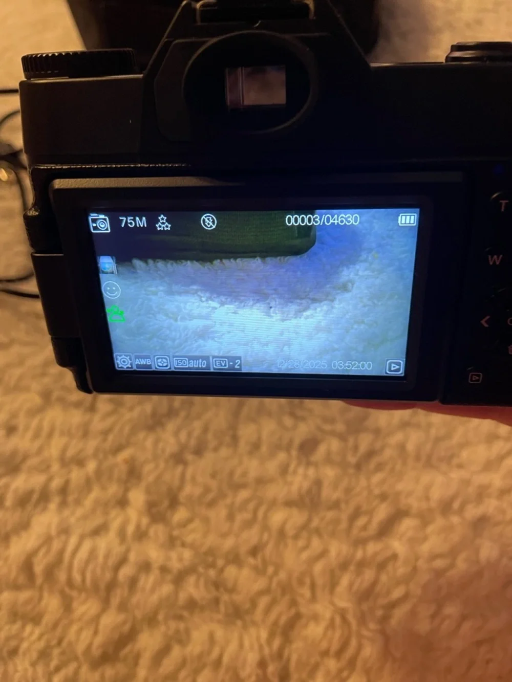 Vivitar digital camera